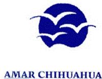 AMAR CHIHUAHUA