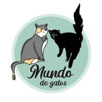 MUNDO DE GATOS