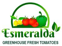 ESMERALDA GREENHOUSE FRESH TOMATOES