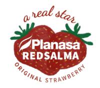 A REAL STAR PLANASA REDSALMA ORIGINAL STRAWBERRY