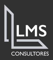 LMS CONSULTORES
