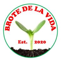 BROTE DE LA VIDA BUD OF LIFE