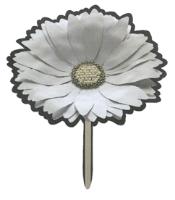 FLORA MARGARITA COSTERA