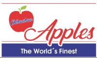 CHIHUAHUA APPLES THE WORLD´S FINEST