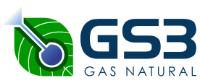 GS3 GAS NATURAL