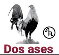 DOS ASES AR