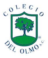 COLEGIO DEL OLMO