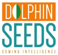 DOLPHIN SEEDS