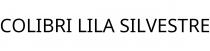 COLIBRI LILA SILVESTRE