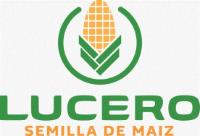 LUCERO