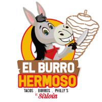 EL BURRO HERMOSO