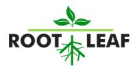 ROOT LEAF