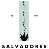 SALVADORES 70 400