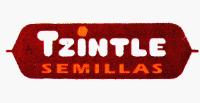 TZINTLE