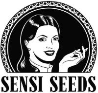 SENSI SEEDS