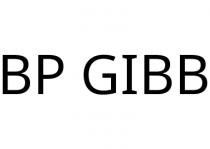 BP GIBB