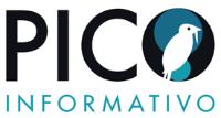 PICO INFORMATIVO