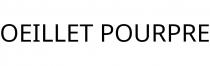 OEILLET POURPRE