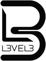 L3 LEVEL3