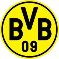 BVB 09