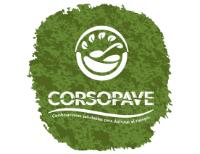 CORSOPAVE; COMBINACIONES SALUDABLES PARA DISFRUTAR EL TIEMPO.