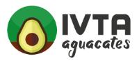IVTA AGUACATES
