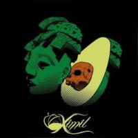DISTRIBUIDORA DE AGUACATES XIMIL