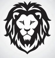 LION CNC ROUTER
