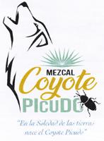 COYOTE PICUDO EN LA SOLEDAD DE LAS TIERRAS NACE EL COYOTE PICUDO