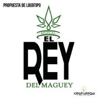 EL REY DEL MAGUEY