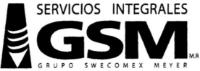 GSM
