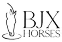 BJX HORSES