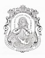 ESTUDIANTINA GUADALUPANA POTOSINA