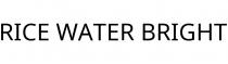 RICE WATER BRIGHT