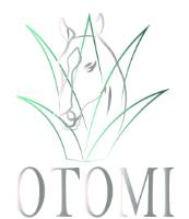OTOMI