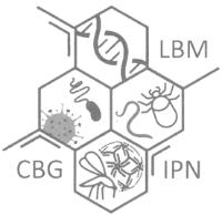 LBM CBG IPN