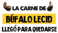 LA CARNE DE BUFALO LECID LLEGÓ PARA QUEDARSE