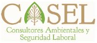 CASEL CONSULTORES AMBIENTALES Y SEGURIDAD LABORAL