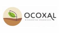 OCOXAL BIOHUERTOS ORGÁNICOS