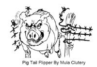 PIG TAIL FLIPPER BY MULA CLUTERY