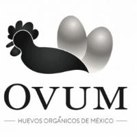 OVUM