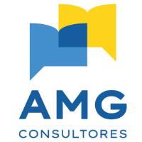 AMG CONSULTORES