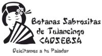 BOTANAS SABROSITAS DE TULANCINGO CADSEBSA DELEITAMOS A TU PALADAR