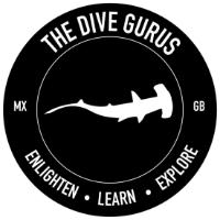 THE DIVE GURUS ENLIGHTEN LEARN EXPLORE