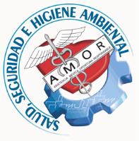 SALUD SEGURIDAD E HIGIENE AMBIENTAL AMOR