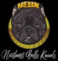 NEBK NORTHEAST BULLS KENNELS