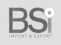 BSI IMPORT & EXPORT