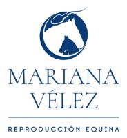 MV REPRODUCCION EQUINA