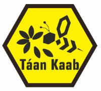 TÁAN KAAB