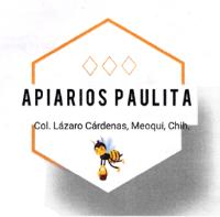 APIARIOS PAULITA